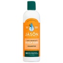 JASON DANDRUFF RELIEF SHMPOO 355 ml
